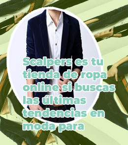 Ropa formal sport